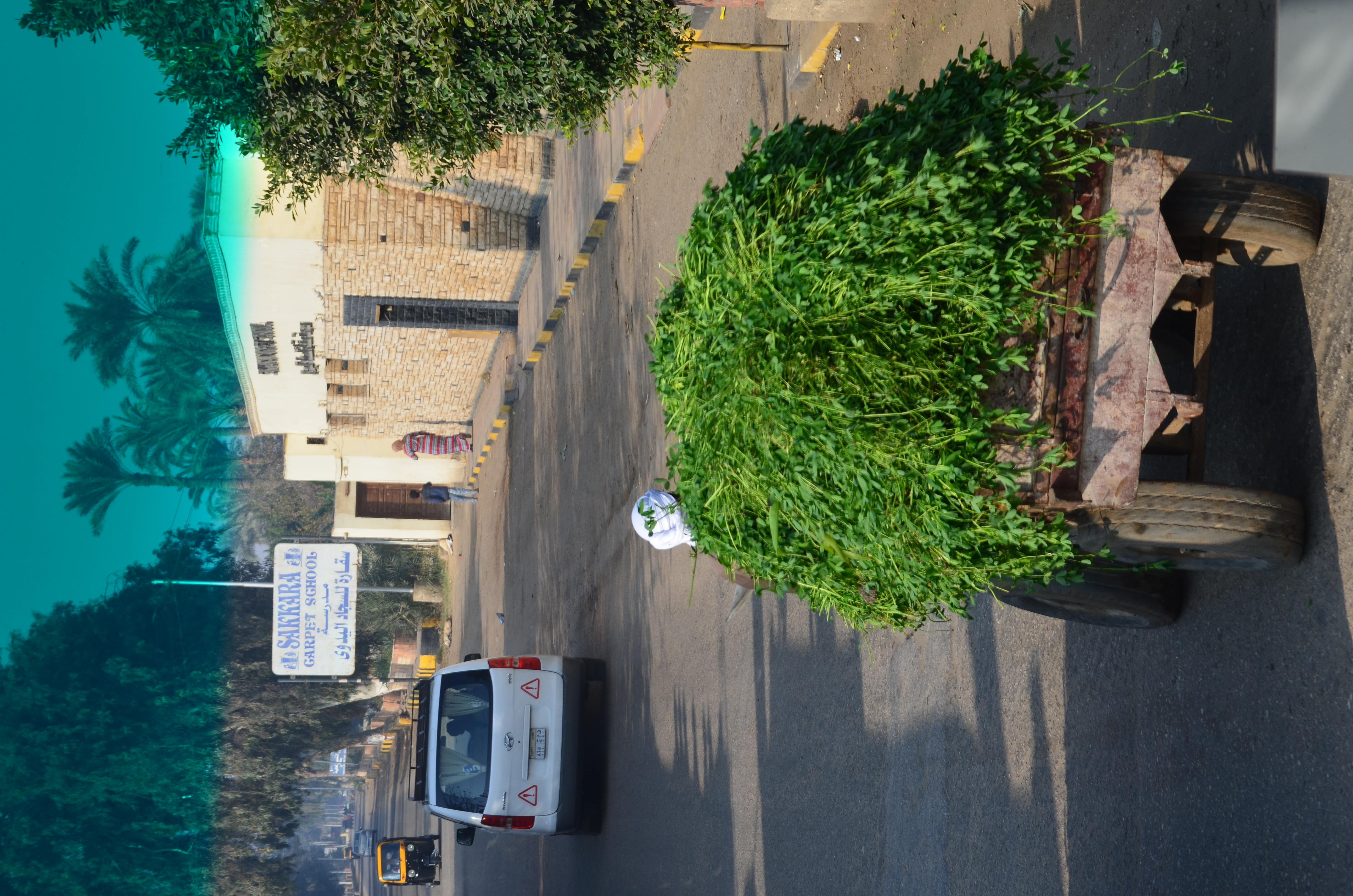 ./2018/16 - Egypt/03 - Pyramids/DSC_0063.JPG